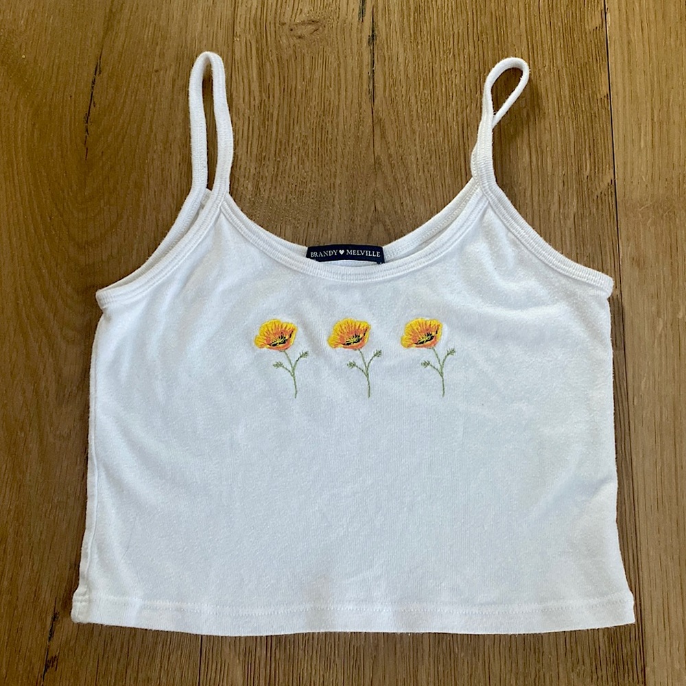 Skylar poppy tank (brandy Melville)